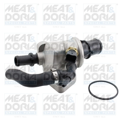 Thermostat, coolant